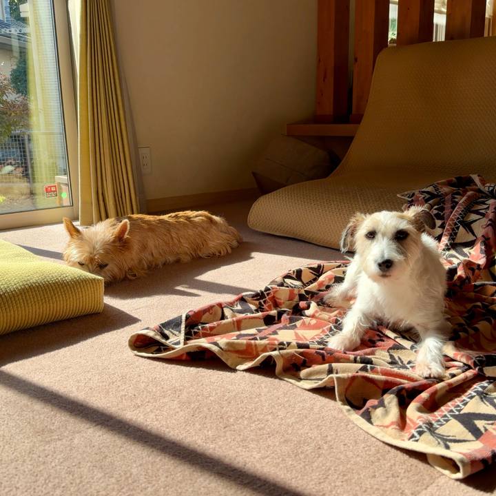 1e02be95 3172 4042 af15 747e75466cd1 1763272026554