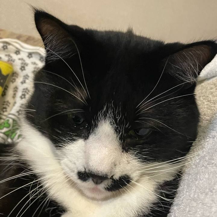 1e02d515 c890 41cb a4d8 746e153b65d8 1667296329527