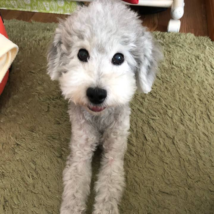 1e02eee7 646c 4e2f ad3e 75f253975c89 1530366369598