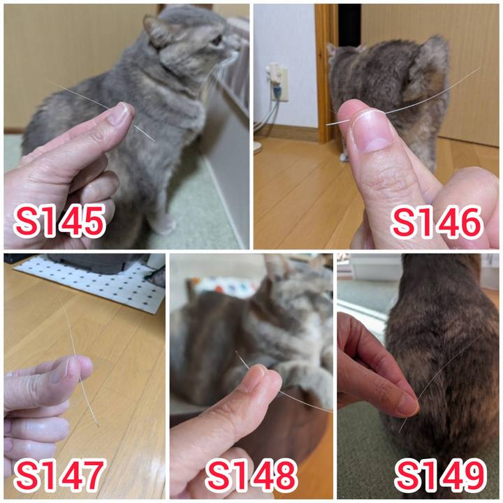 1e0339a2 991d 4309 9bf4 edfb4d52658a 1775006733914