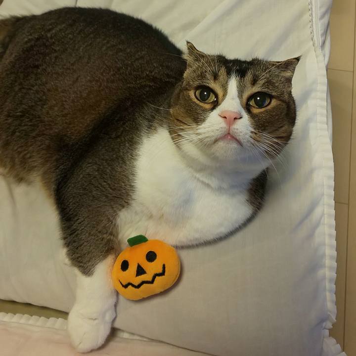 1e033fa5 f589 4f37 87aa f966a46e499c 1667211279610