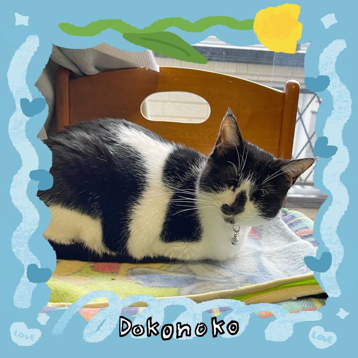 1e03501b c6e6 4ca1 b09f 1be8c045ca05 1772059635617