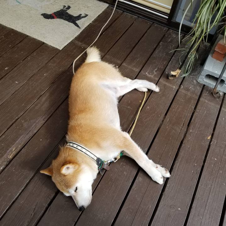 1e03546e defe 40b3 90c5 cac70a37d737 1596150793755