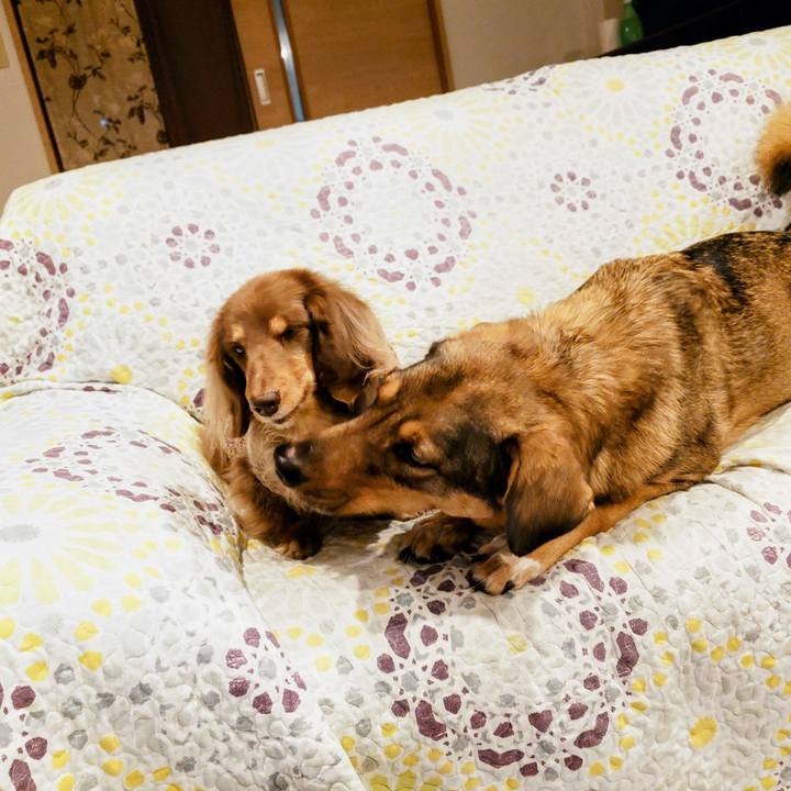 1e036de0 24b1 42f7 98df 649551f69b6f 1769247337416