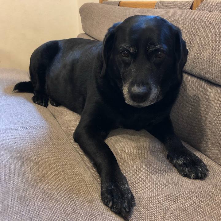 1e03a7bc f8f5 4808 9bf2 b4de86d20b65 1588555542510