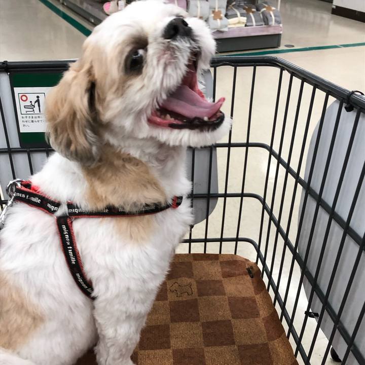 1e03af6e a95a 4f79 a5d7 8f8077c9a02f 1569449098606