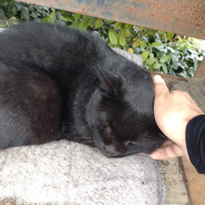 1e03dabb b80a 4768 9fad ef4da407c5ae 1729901220156