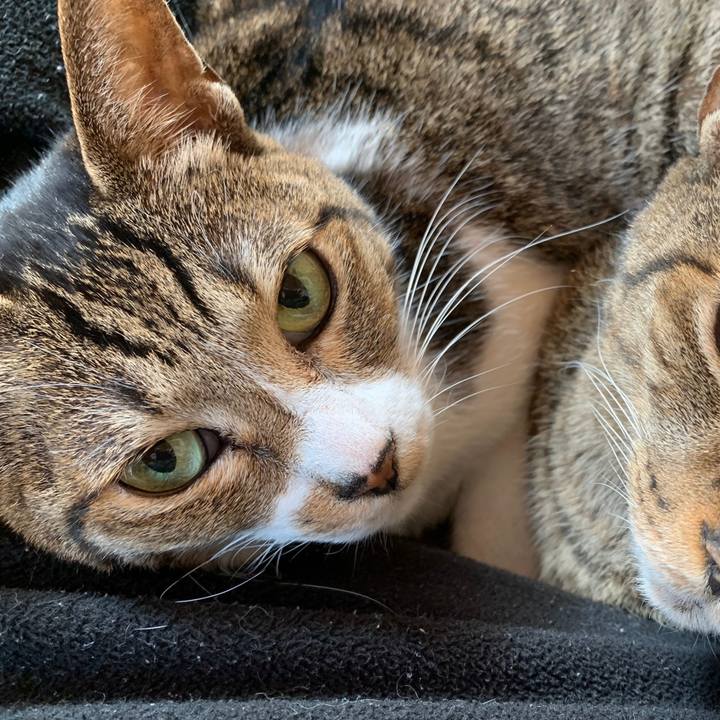 1e03dba2 283a 4d24 a836 c7494a170f5c 1580952959035