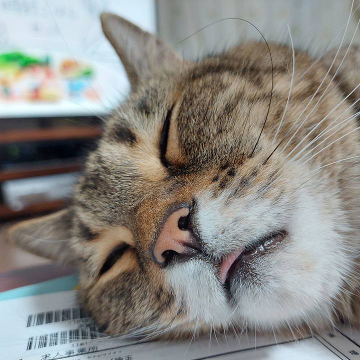 1e03eb33 a1d2 446d 9901 da9c7bea29a5 1657542285493