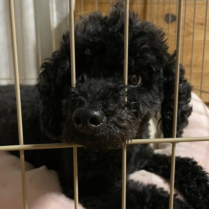 1e040370 7d61 4ac8 91f5 7397c0a7e0ec 1655010224900