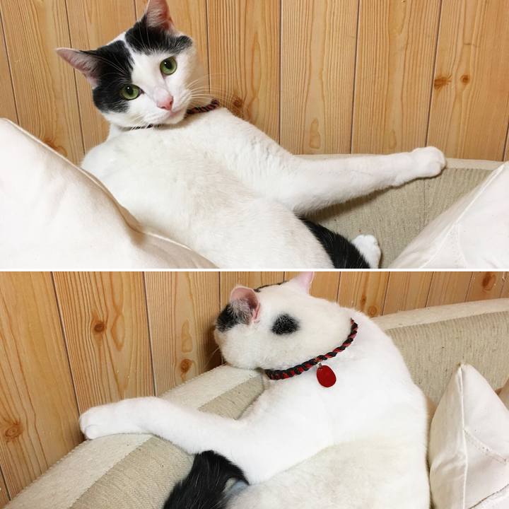 1e0406d4 7918 4588 88f4 bd445f8fd614 1509794710695