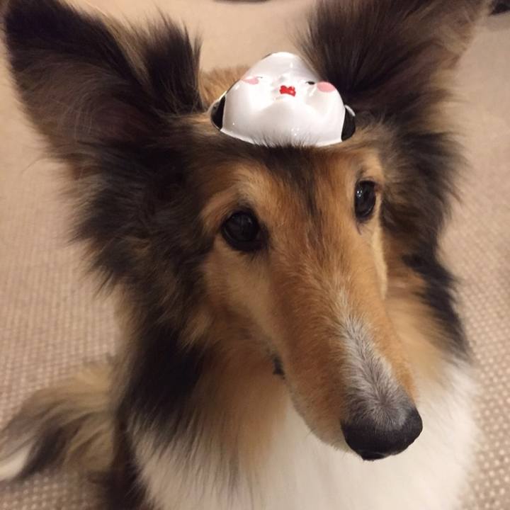 1e042178 7227 4fac 88ec cadc28e7a2d7 1517624810940