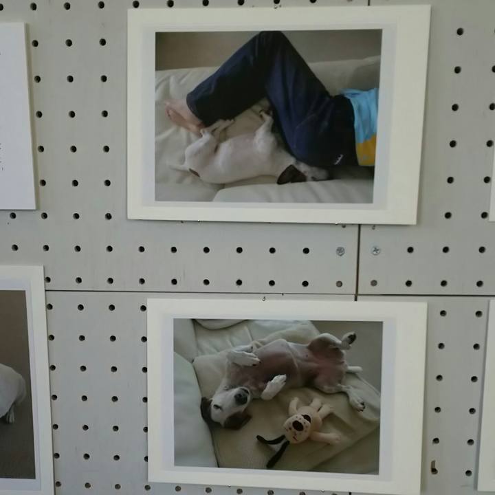 1e043787 84c8 46c4 8f99 b640e038fb67 1524240179799