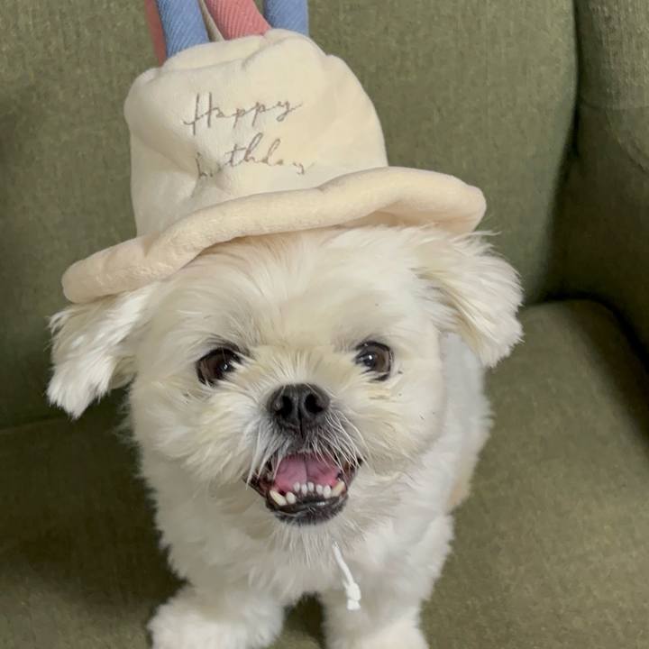 1e043aaa 3737 47f3 b92b a1efe8607dfc 1760142998934