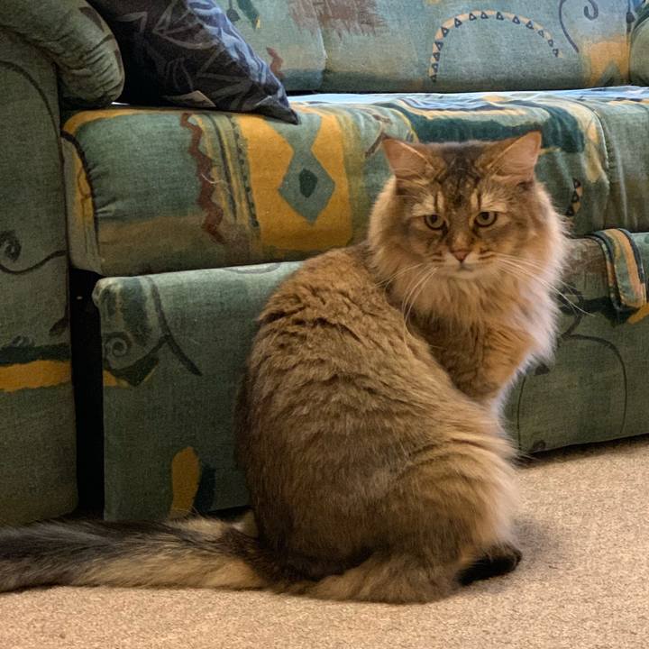 1e04dc4a 8bd3 4998 9775 e3c1c8b5c06d 1755728350987