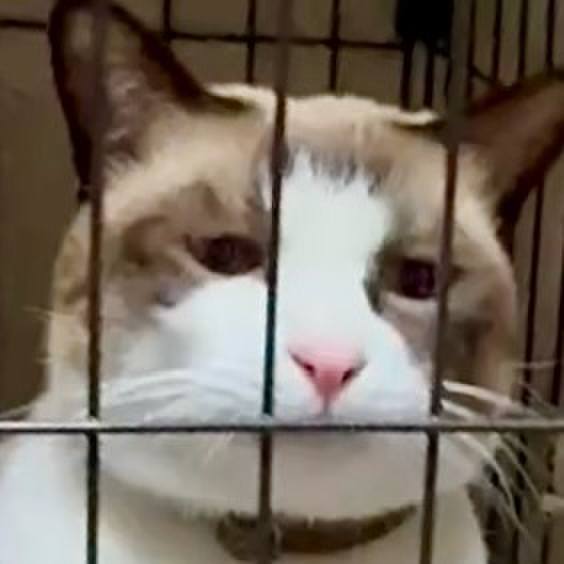 1e04de71 1537 4824 b058 9d2452b853ca 1759053775633