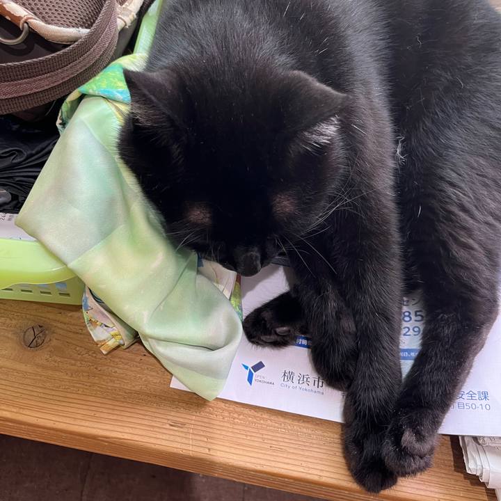 1e050bc0 c9bb 4d10 a15a 12c855464b22 1662257283557