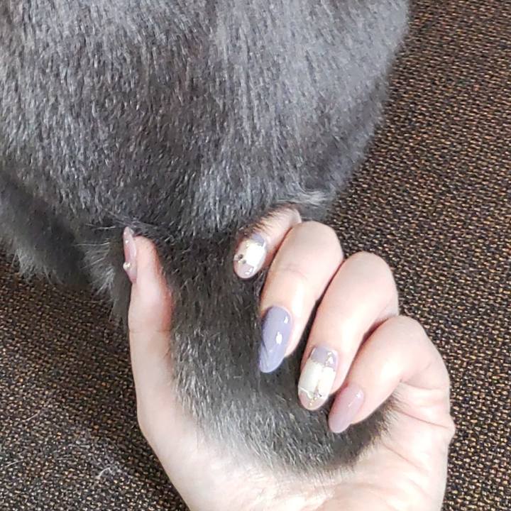 1e051272 2036 400e 911a 67d3468dfe7d 1664356056790