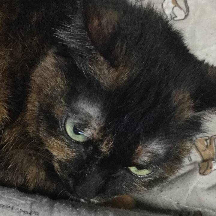 1e052e04 6175 4f4f 9956 599769c3ac38 1617922651773