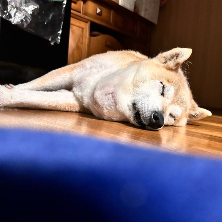 1e055599 0ae2 4c3a a544 2f6ad2874d6d 1751893721407