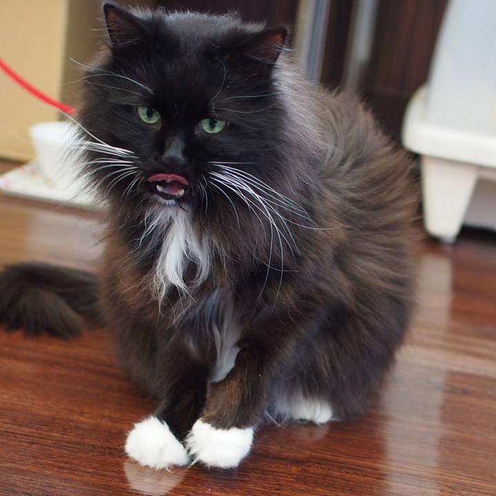 1e05a510 ed71 423d b212 11820cc130db 1550807331139