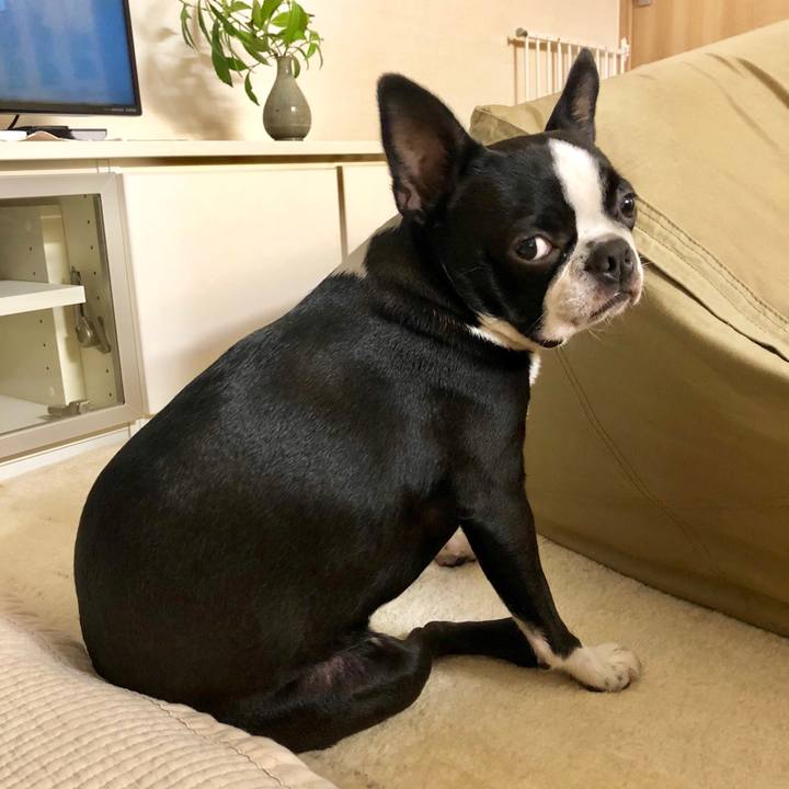 1e05ba16 bb50 49f4 8bd0 201577fb9e08 1541332220284