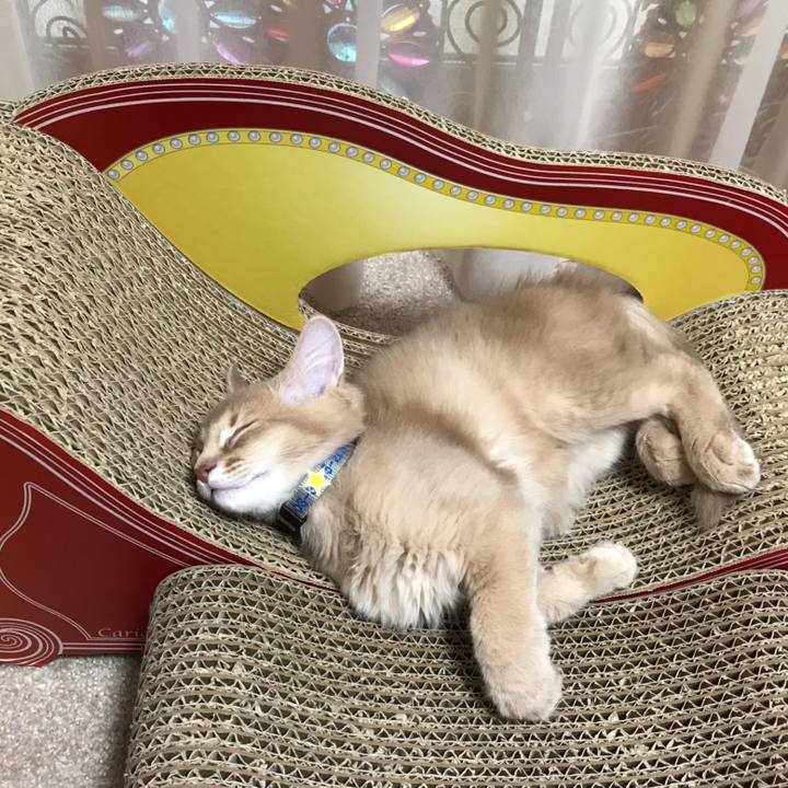 1e05d387 e12e 4243 b42a 9fceee9ce403 1541229594352