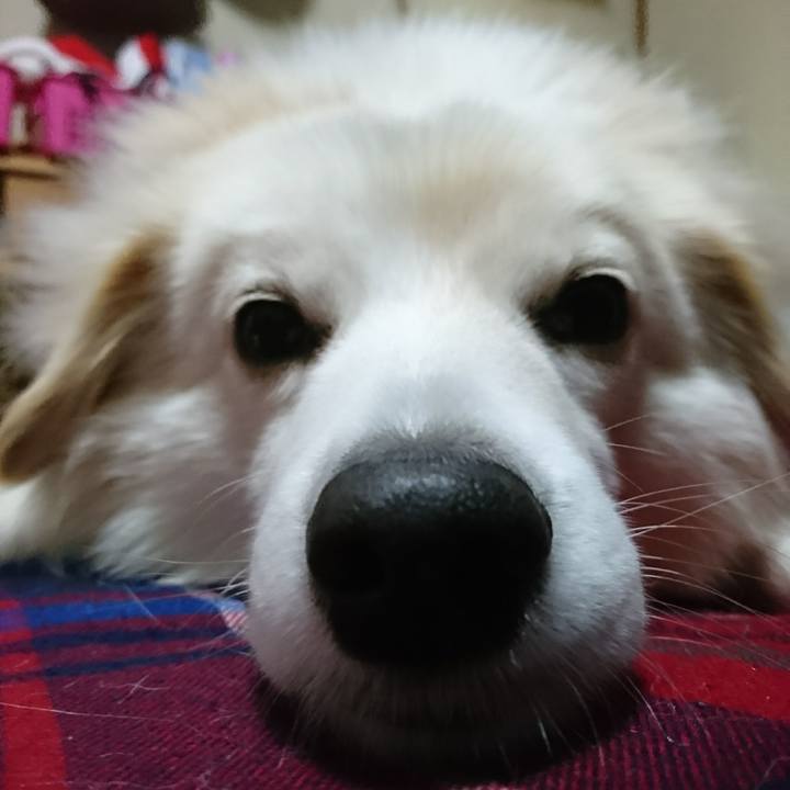 1e05e48f 8e16 45c3 93b1 e5dc6d130da7 1514583215951