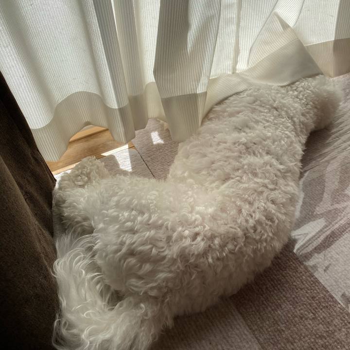 1e063aa6 2220 4eb0 955d 9af72213b3b5 1767925346463