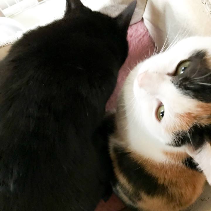 1e064c36 8e22 4f02 aeec 32916d6eda5e 1518345320380