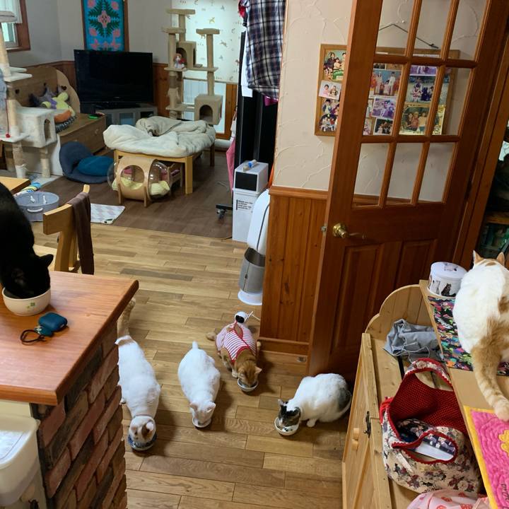 1e065155 8b40 4551 b416 8ae377db56fc 1592430970463