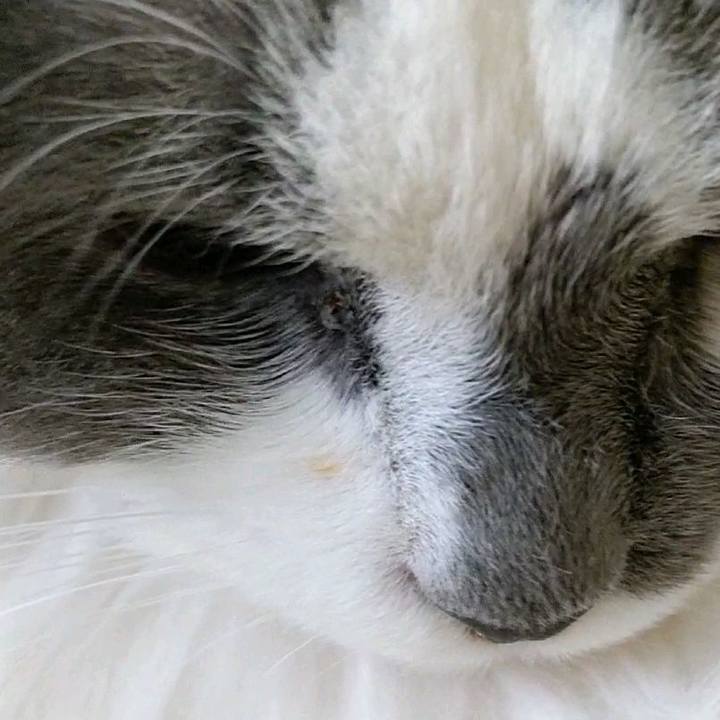 1e0660c7 ecfa 4ee6 b5d0 805faa03dc60 1590189367094