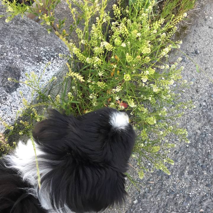 1e06867d 4ad3 4764 888a a419c97064b2 1557228532533