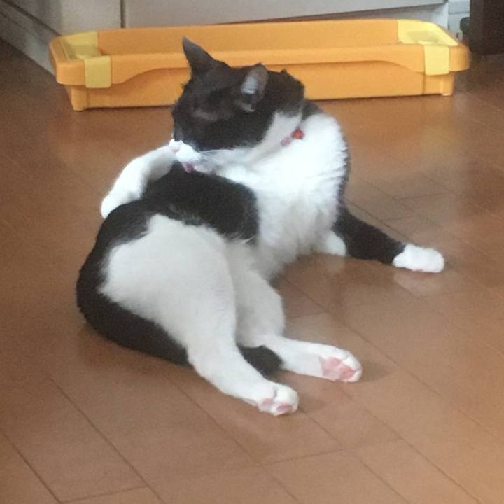 1e069024 05bd 41dc aa11 d2d0150bde07 1602324196598