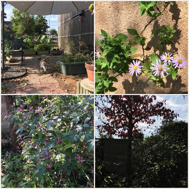 1e06a48e 6b4e 4d88 88dd 9d54c4853757 1510804072540