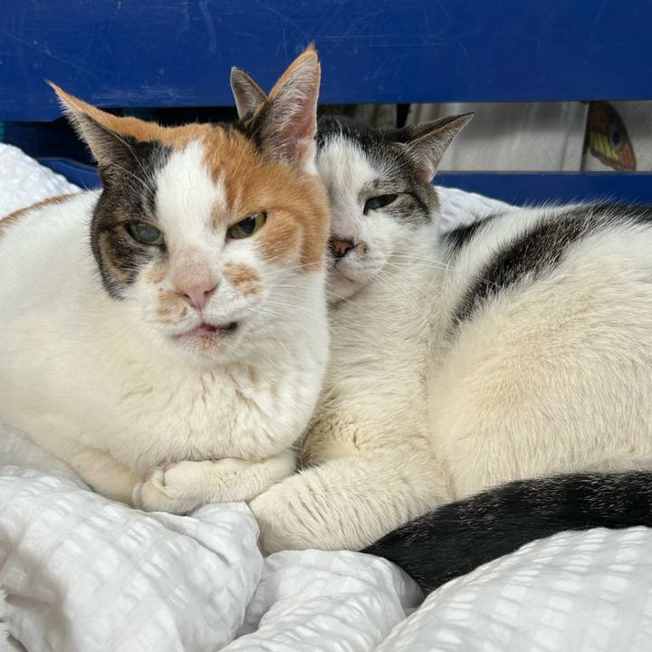 1e06bed5 5895 43d9 aa67 f08b57da6fa2 1716470996392