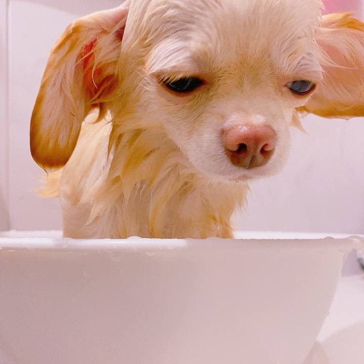 1e06df5f 92f6 4baa 821f 9fb824a1f2ec 1630489587343