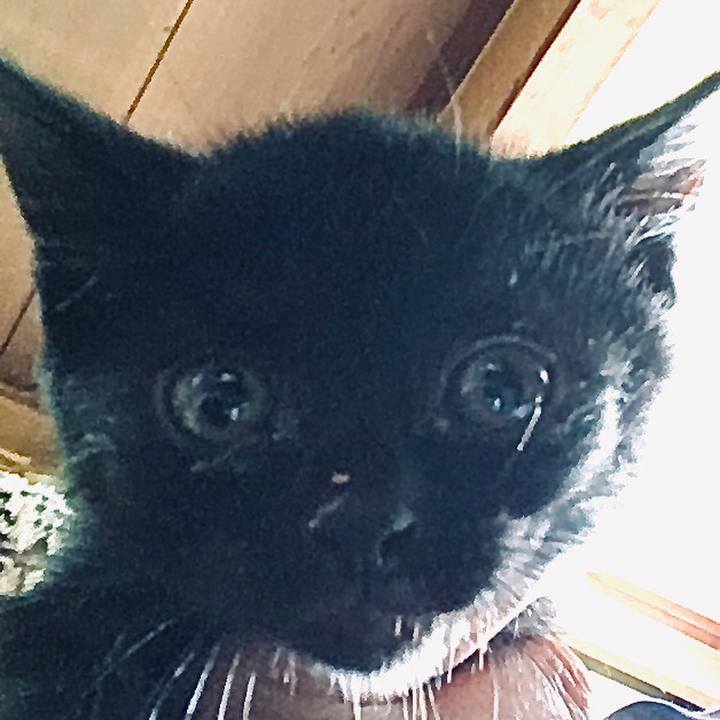 1e071209 9557 45d1 bbe3 fc28d78270ad 1623814851348