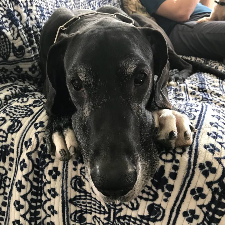 1e07191a 248e 467f 97cf e86ab2962d27 1522622219208