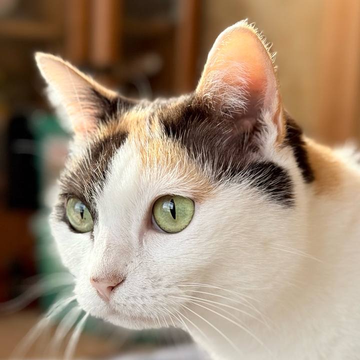 1e071c02 d0f5 4280 a471 121bdfb39bb5 1732326582808