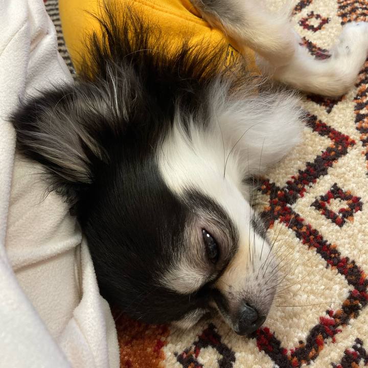 1e071d92 485e 4191 96e4 7937fc06890e 1679202606030