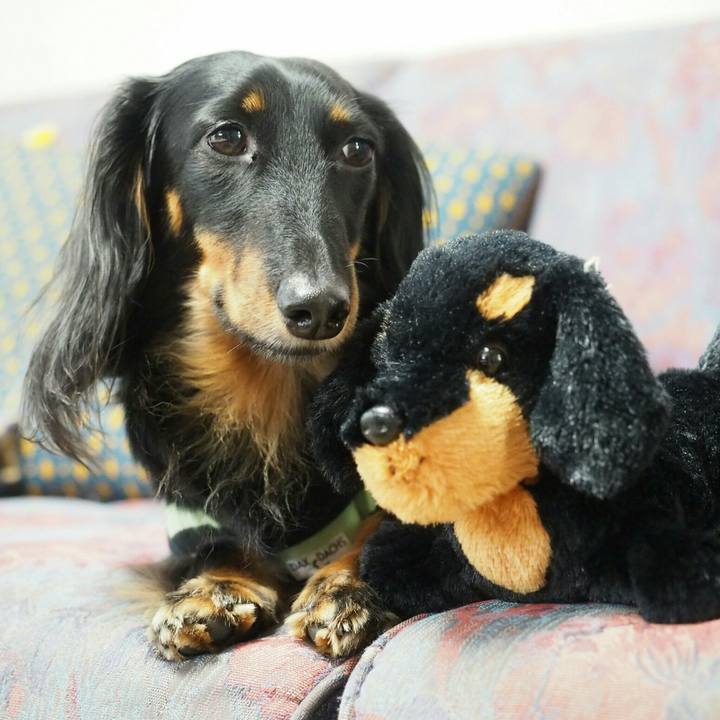 1e073fac dfa0 4034 95be 9692d2592219 1531271523890