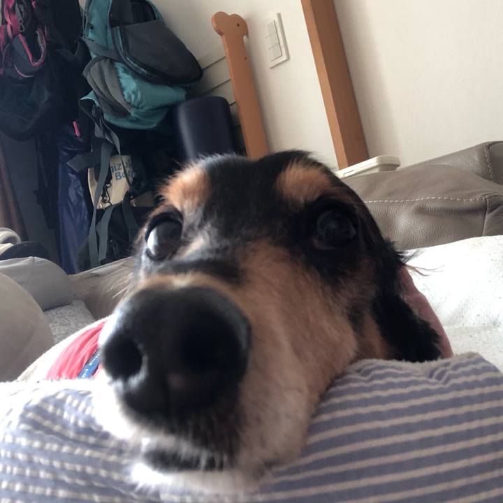 1e07a892 fc45 4f61 8572 e9e6e81149f8 1627422637400