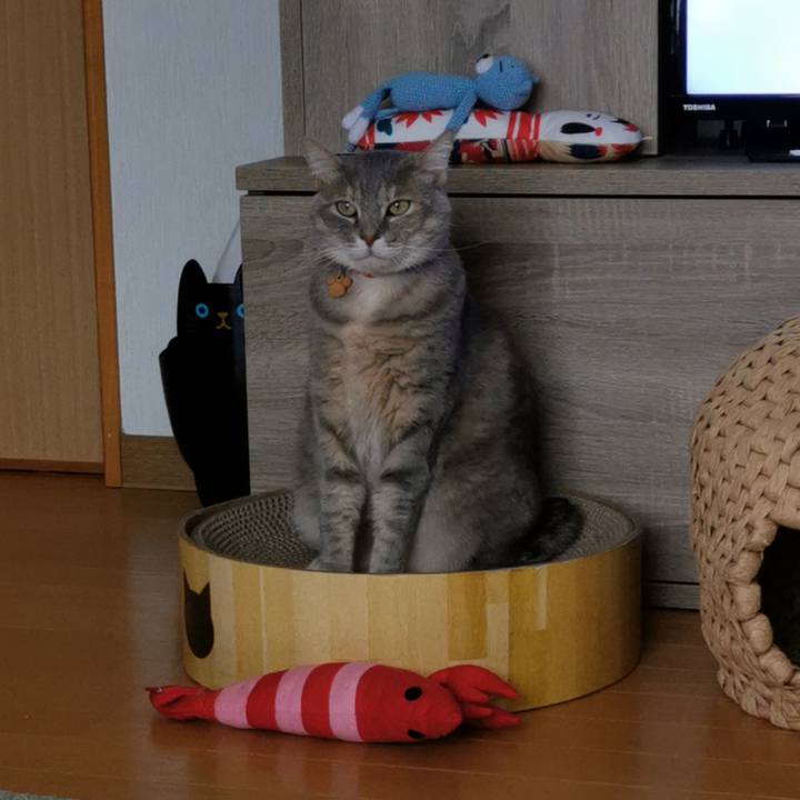 1e07abc4 60ea 451c 8ac2 f2fd3a4b756d 1618529144535