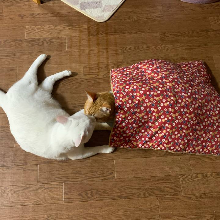 1e07adf0 1027 43a4 aef9 990a62d022f0 1639061851238