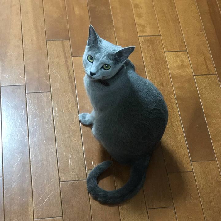 1e07afcd 2278 4e6f a17c bfd5c96b6f35 1544279080248