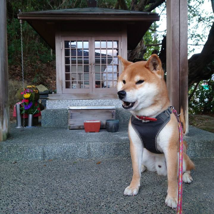 1e07b36d e19d 438a 88ad 5f1074b98e8f 1770525468364