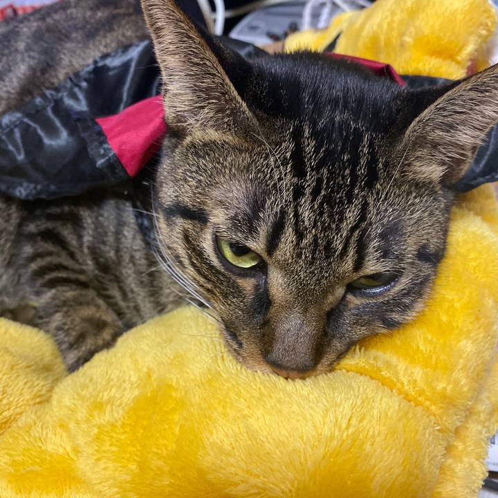 1e07ca26 9100 4cb9 9c24 ba46dca6cf0a 1572791972900