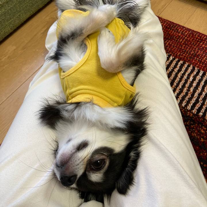 1e07cb8b 214f 497f b046 a7c685ef4106 1677943325453