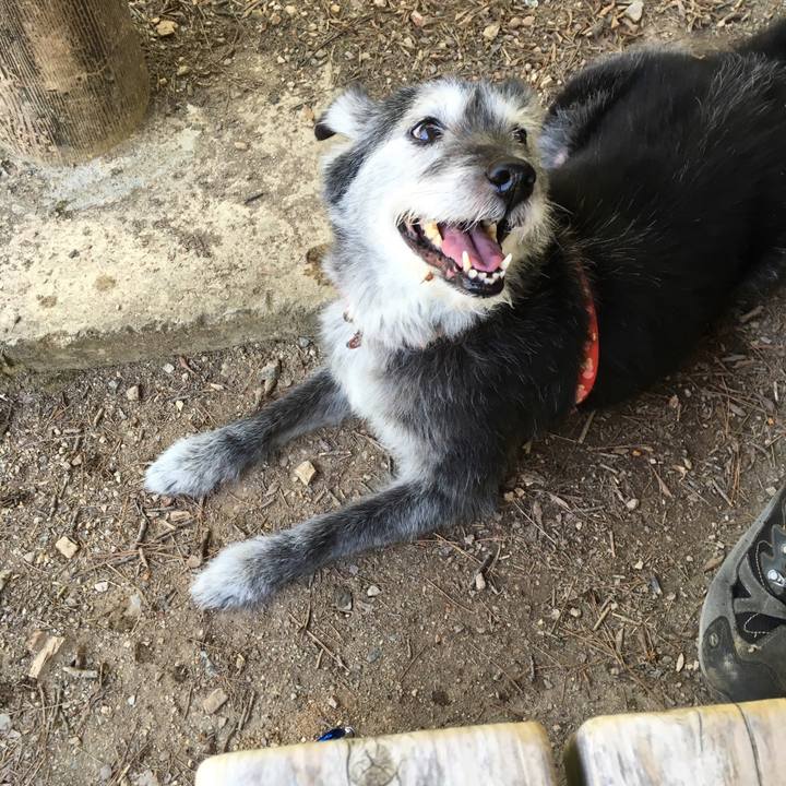 1e07e089 7401 4eb9 bf72 85149a4dec39 1565559288807